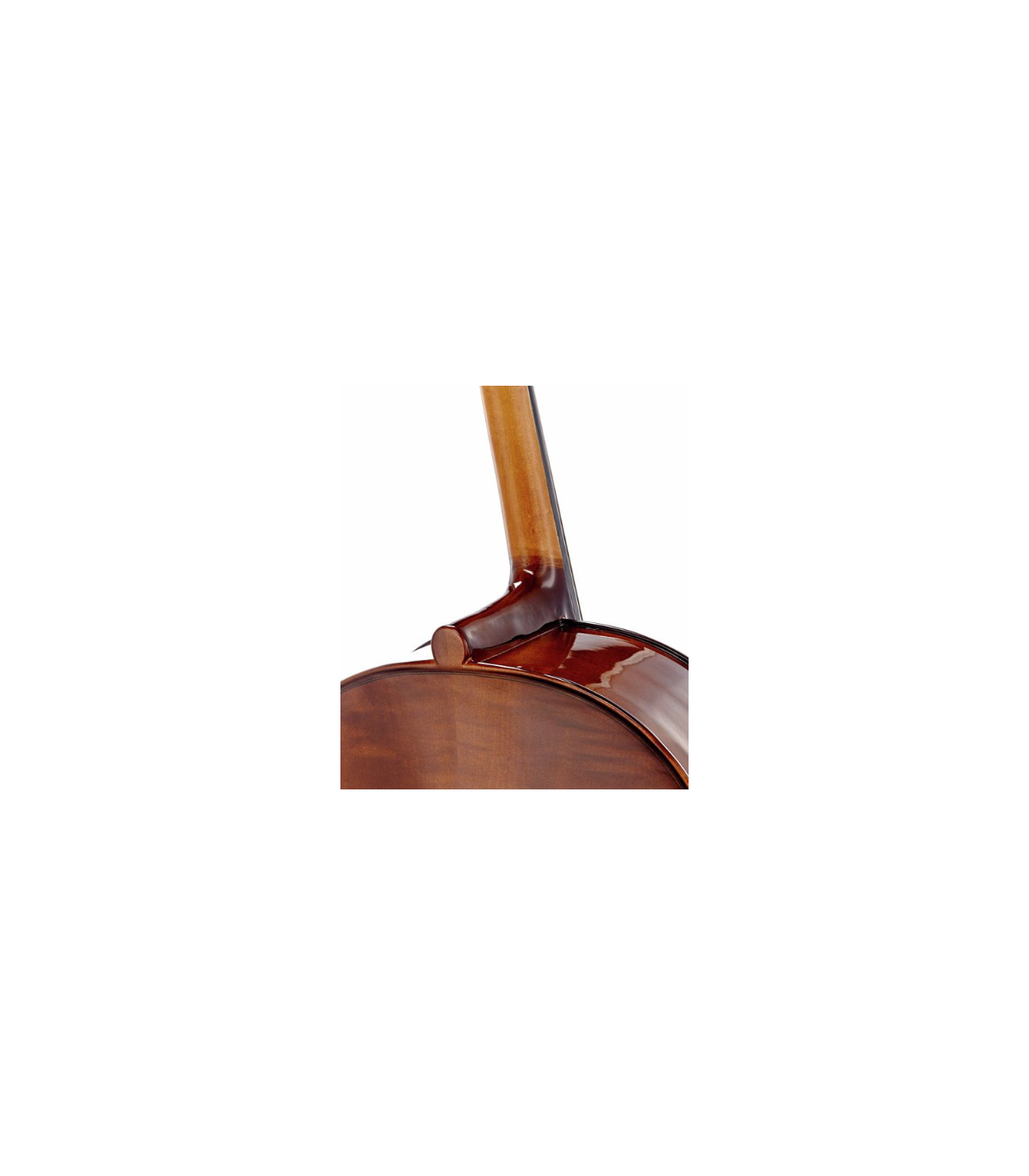 Stentor SR1108 Cello Student II 3/4 [6]