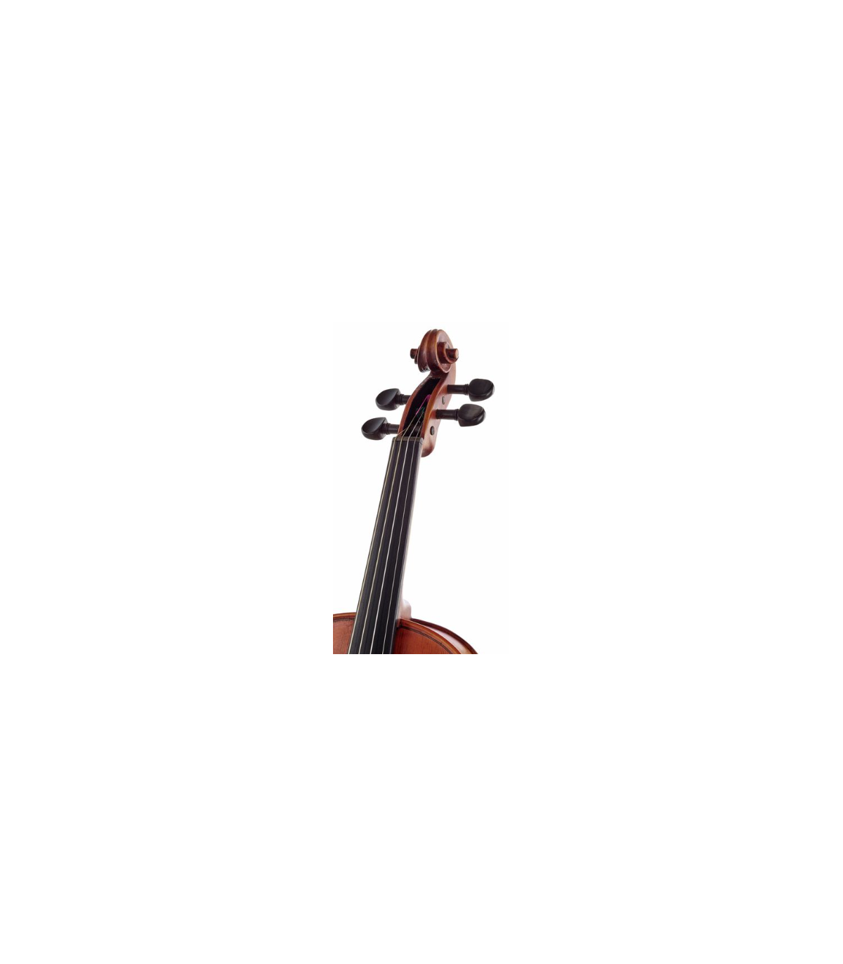 Stentor SR1865 Violin Messina 4/4 [7]