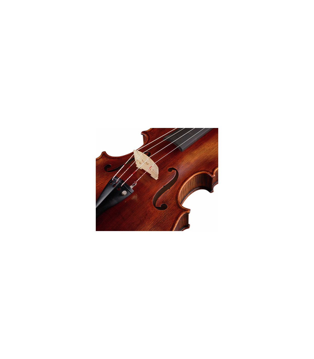Stentor SR1877 Viola Arcadia 16" [4]