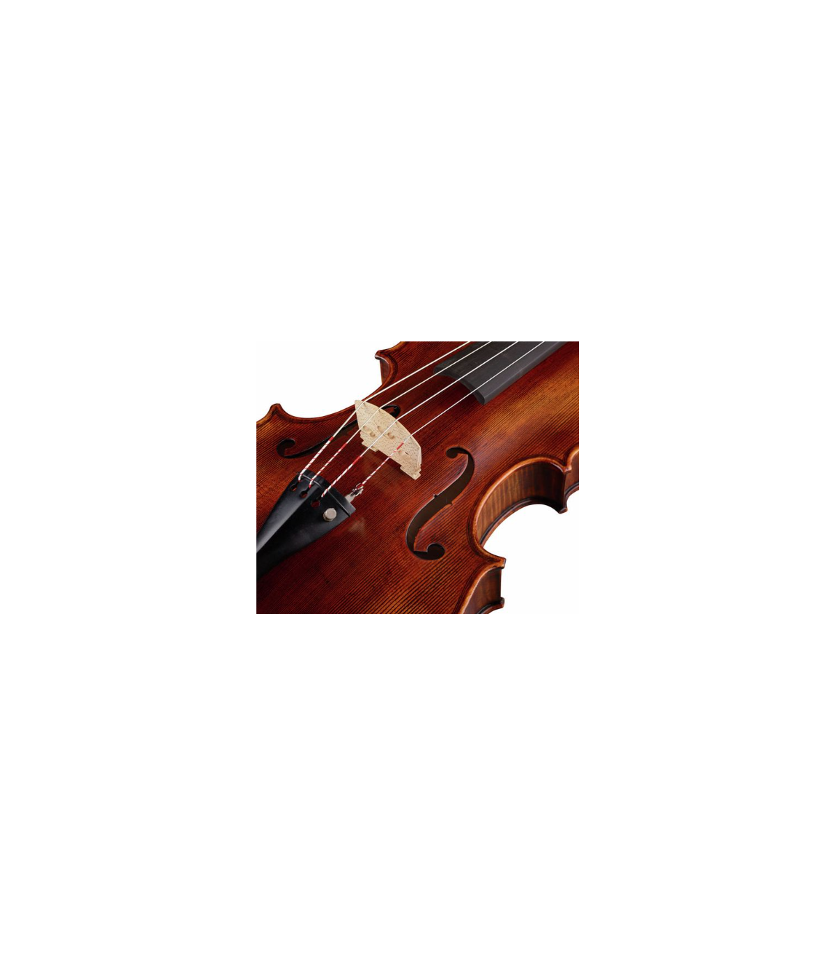 Stentor SR1877 Viola Arcadia 16,5" [6]