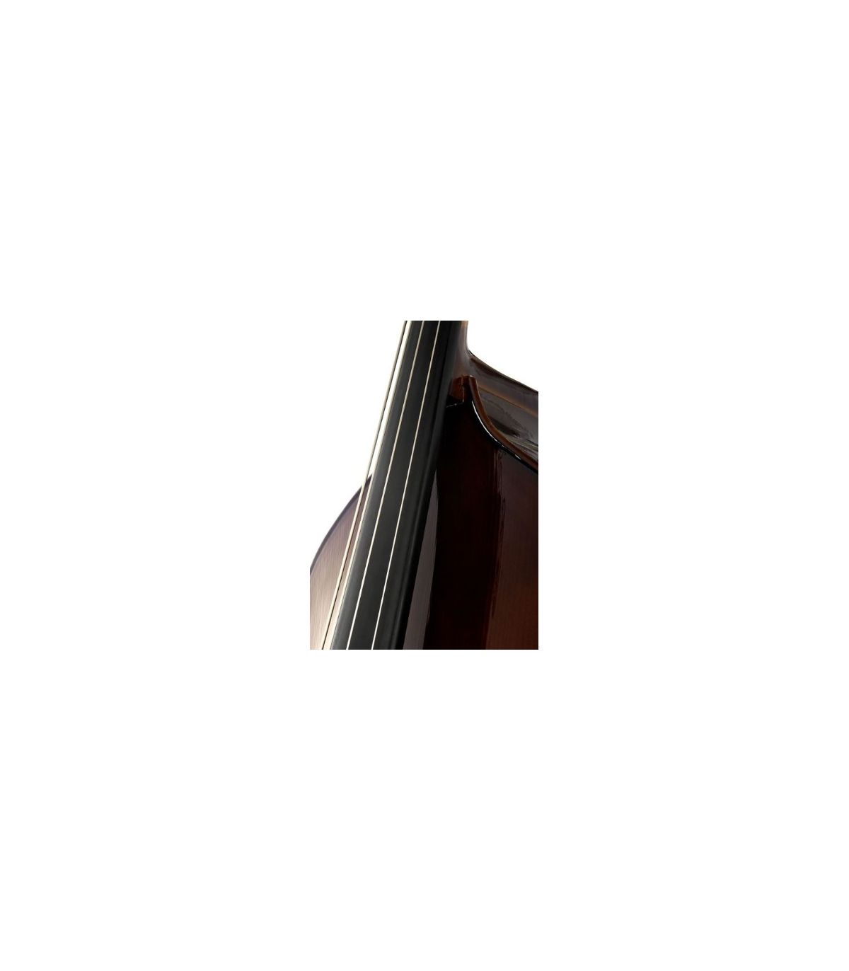 Stentor SR1950 Double Bass Student 1/2 [5]