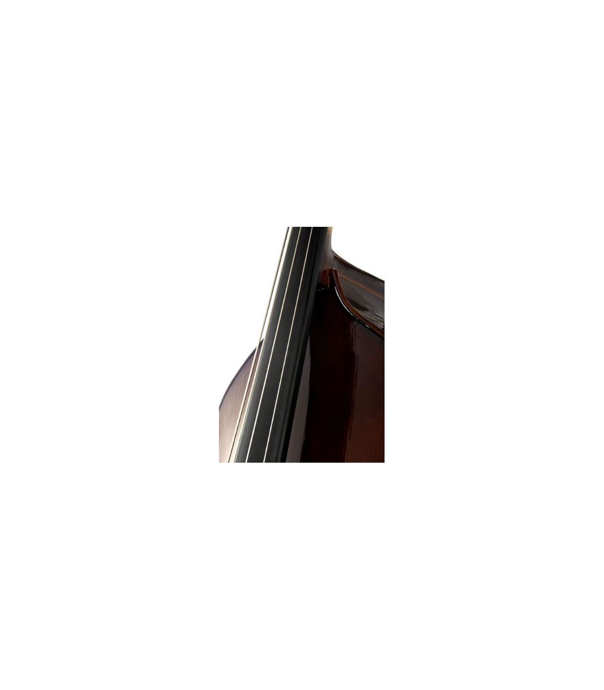 Stentor SR1950 Double Bass Student 3/4 [2]