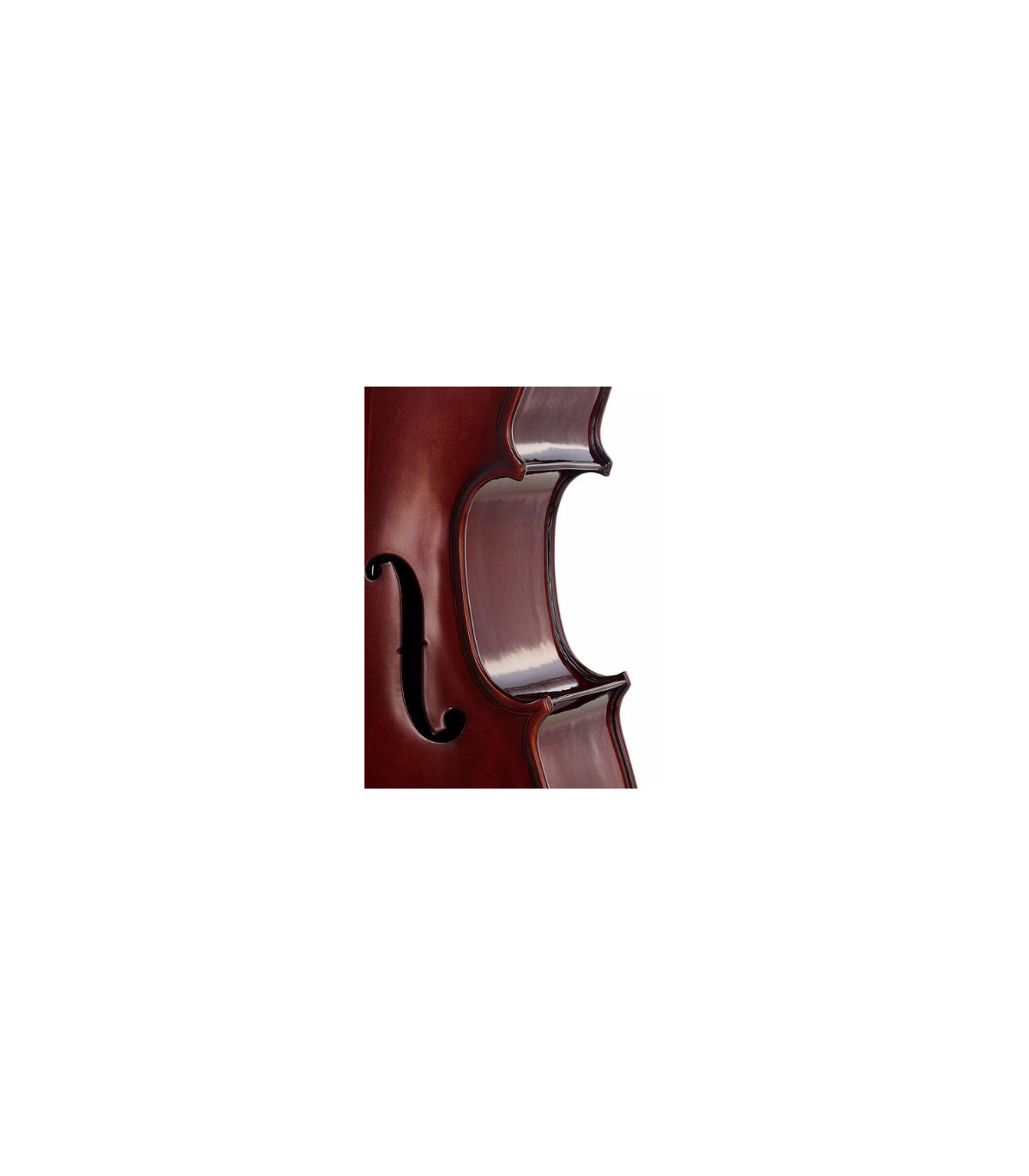 Stentor SR1102 Cello Student I 1/10 [7]