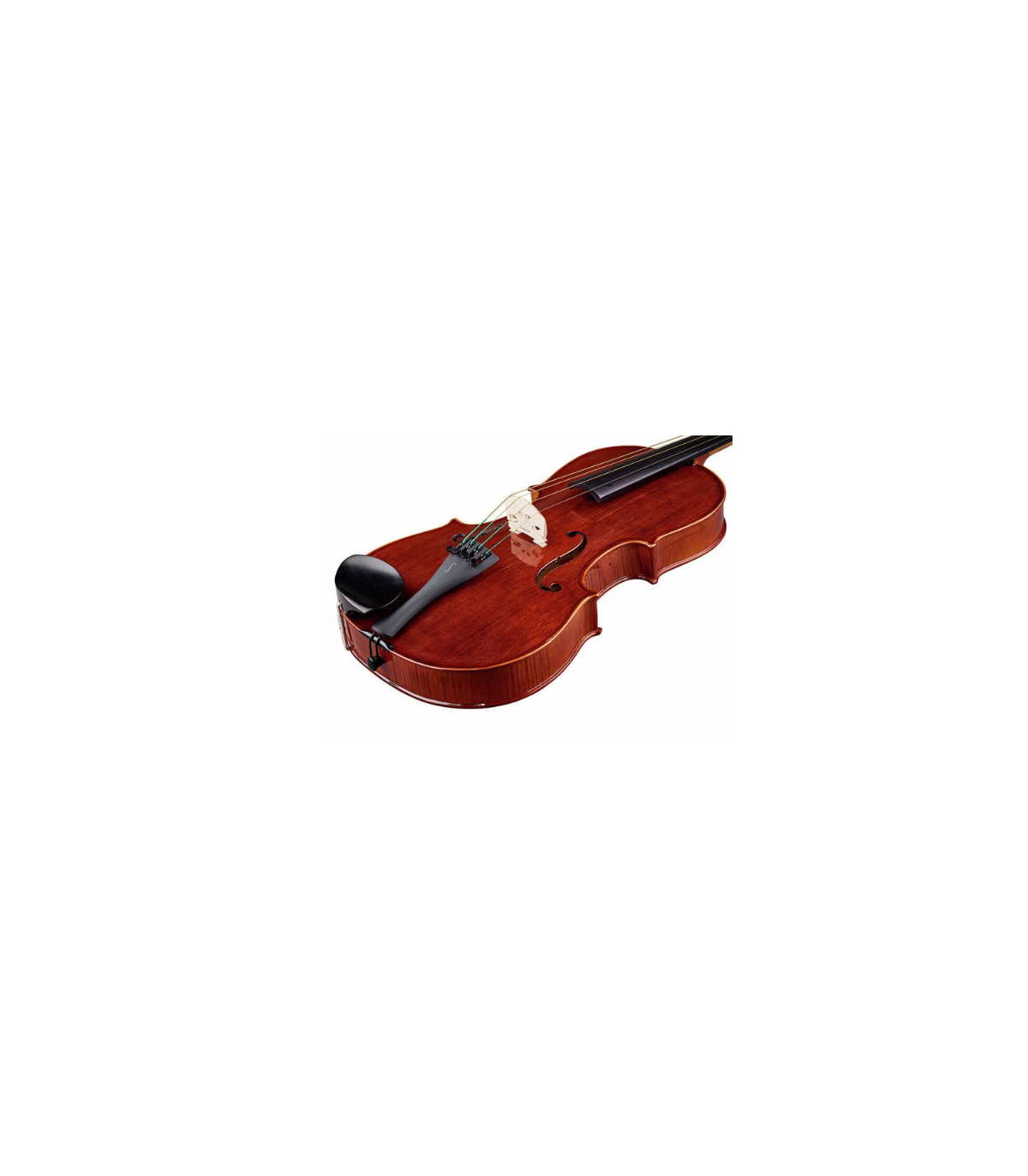 Stentor SR1551 Viola Conservatoire 15" [3]