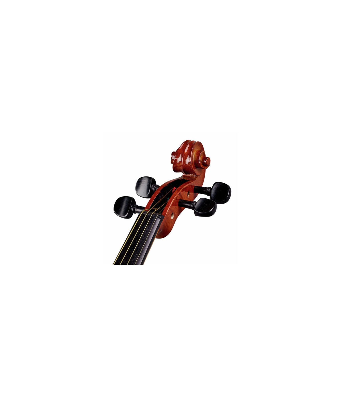 Stentor SR1551 Viola Conservatoire 15" [5]