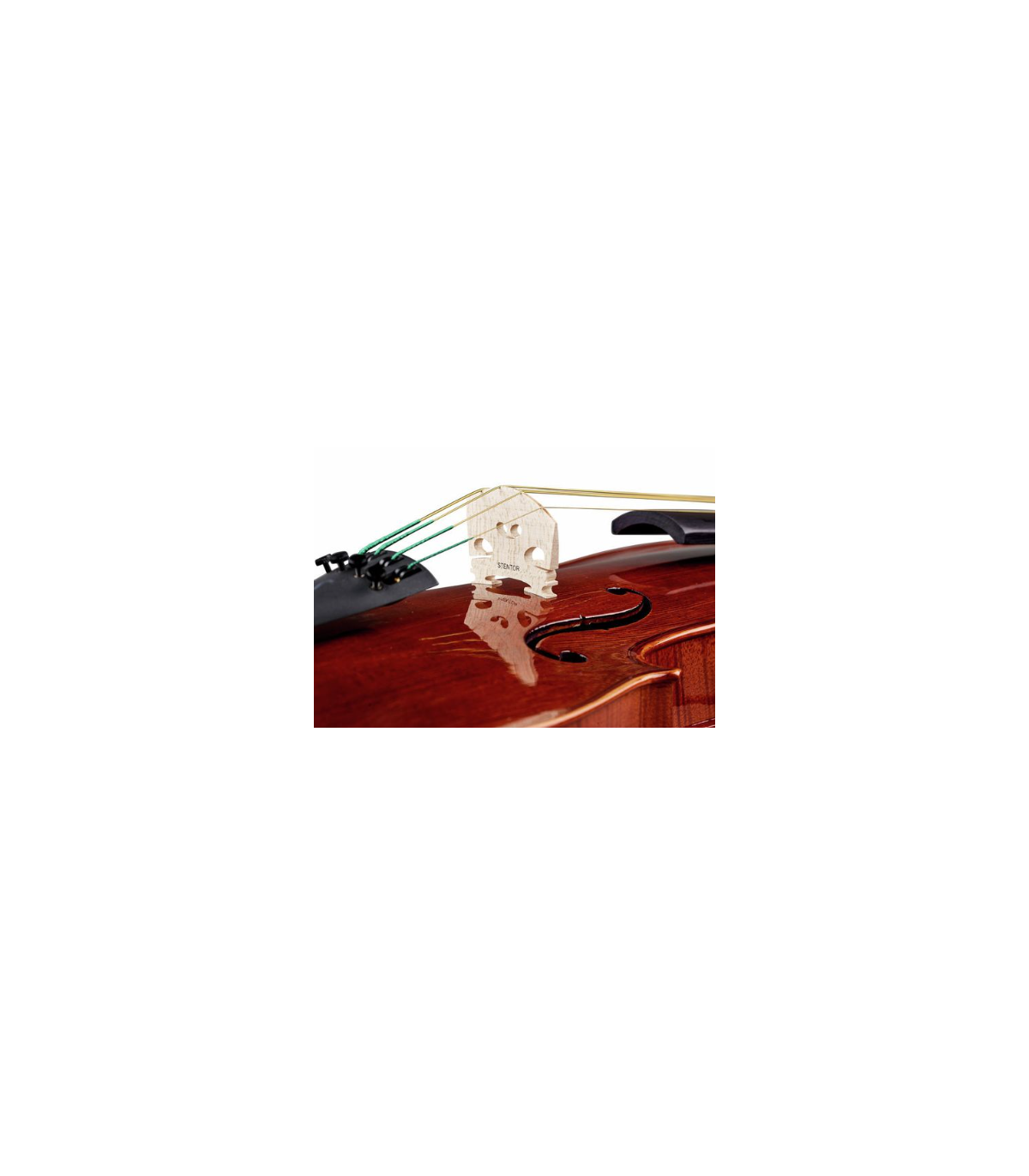 Stentor SR1551 Viola Conservatoire 15" [7]