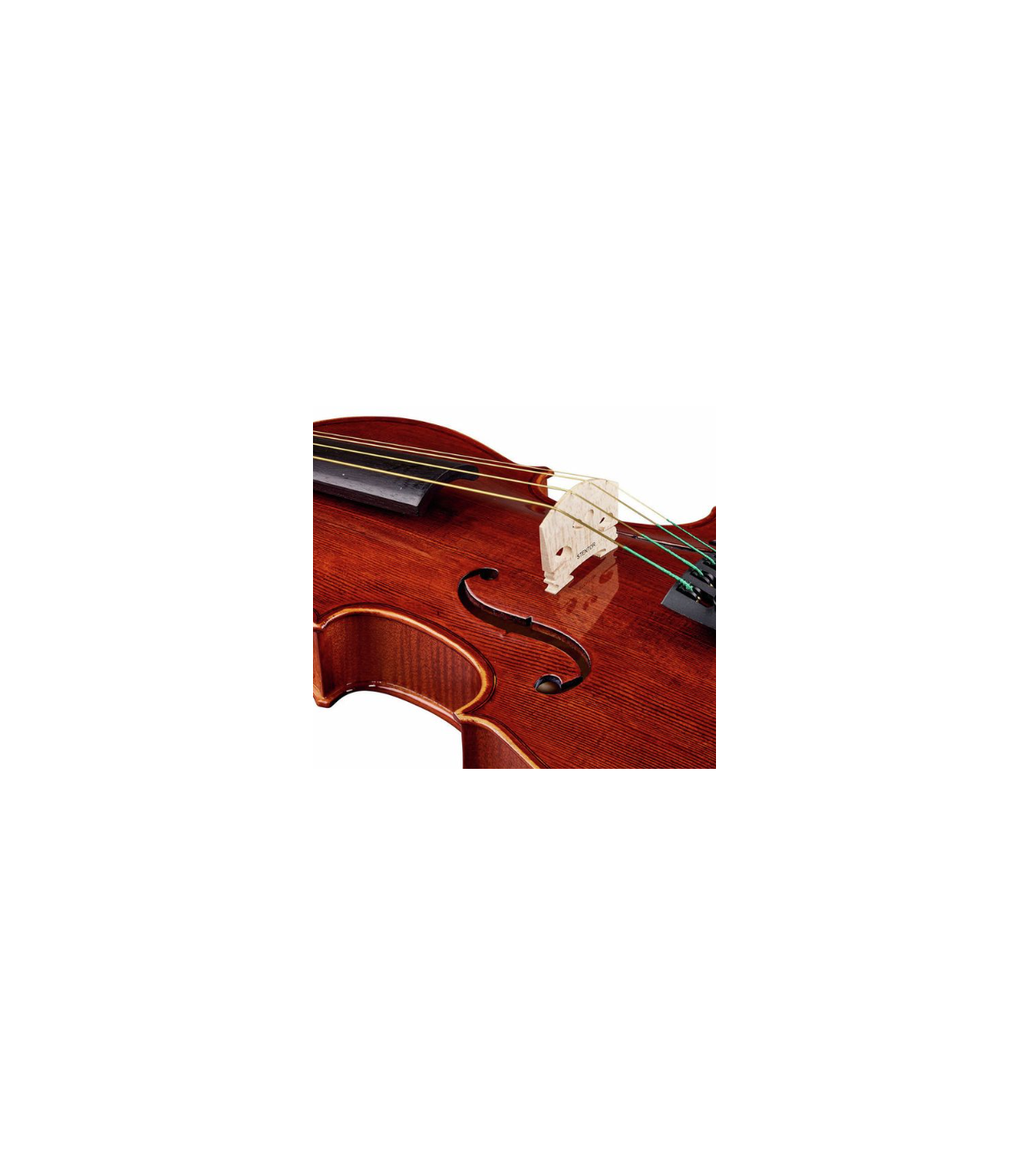 Stentor SR1551 Viola Conservatoire 15" [9]