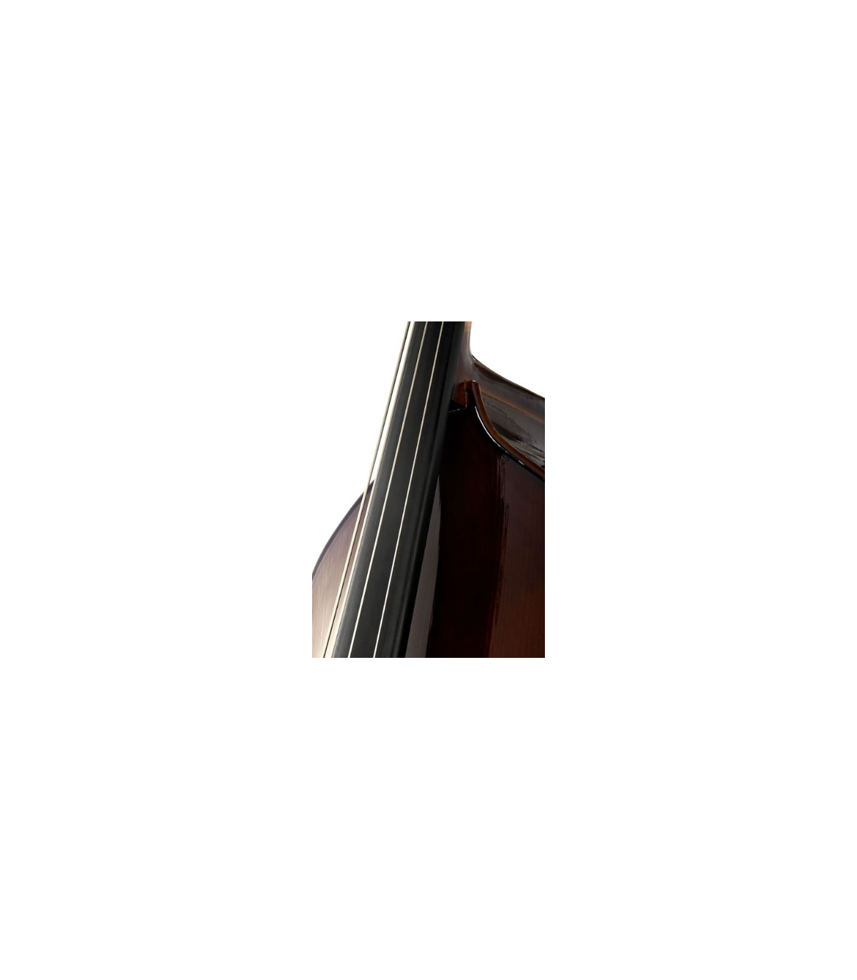 Stentor SR1950 Double Bass Student 1/16 [9]