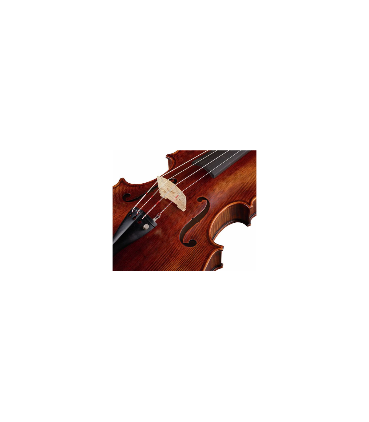 Stentor SR1877 Viola Arcadia 15" [6]