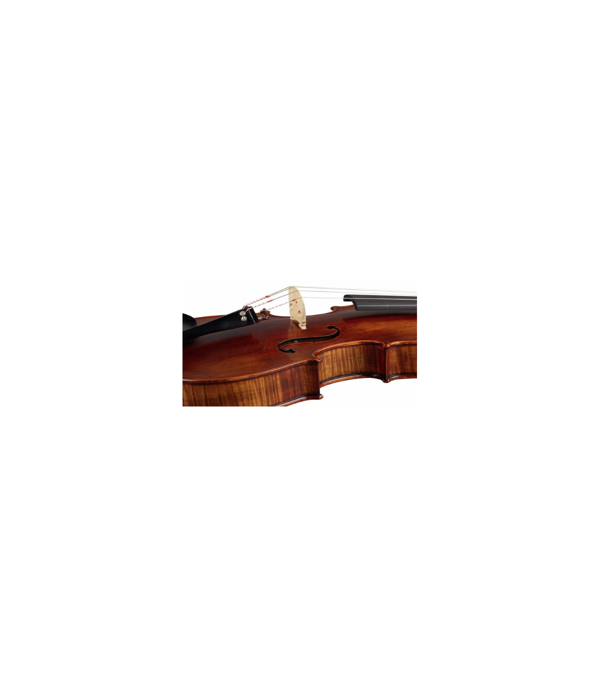 Stentor SR1877 Viola Arcadia 15" [8]