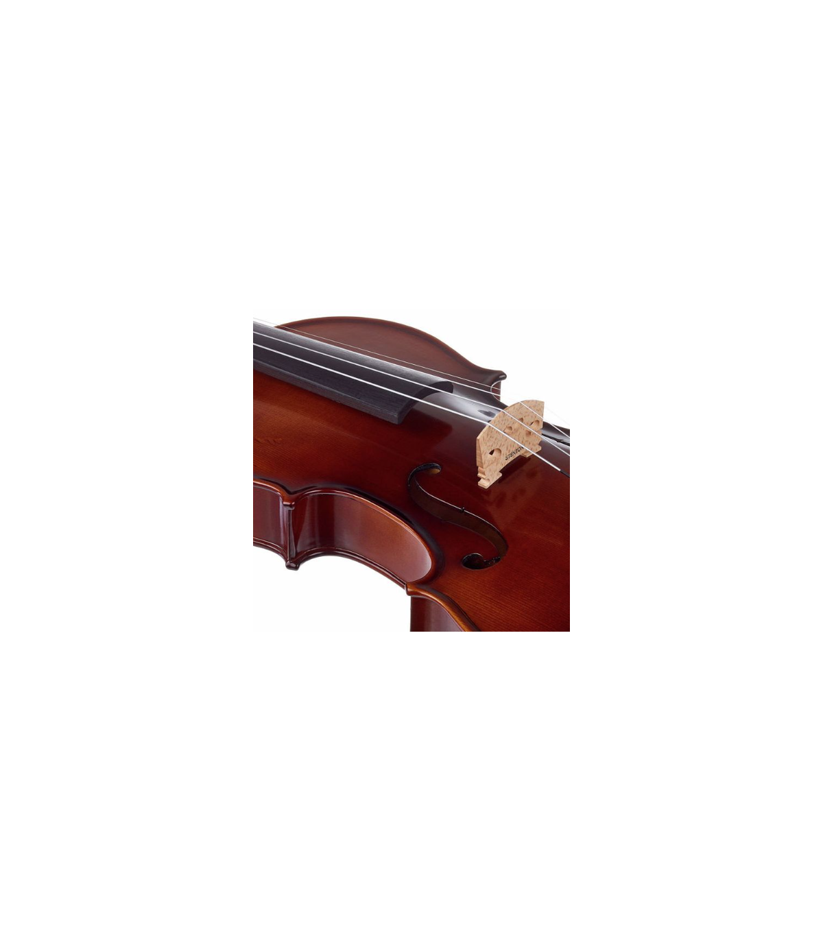 Stentor SR1542 Violin Graduate 4/4 [7]