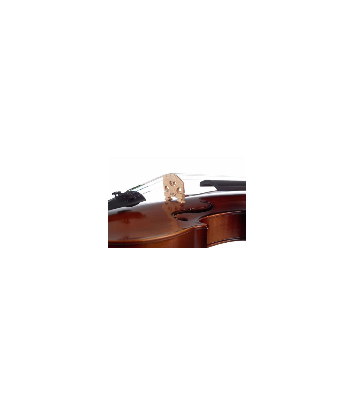 Stentor SR1542 Violin Graduate 4/4 [8]