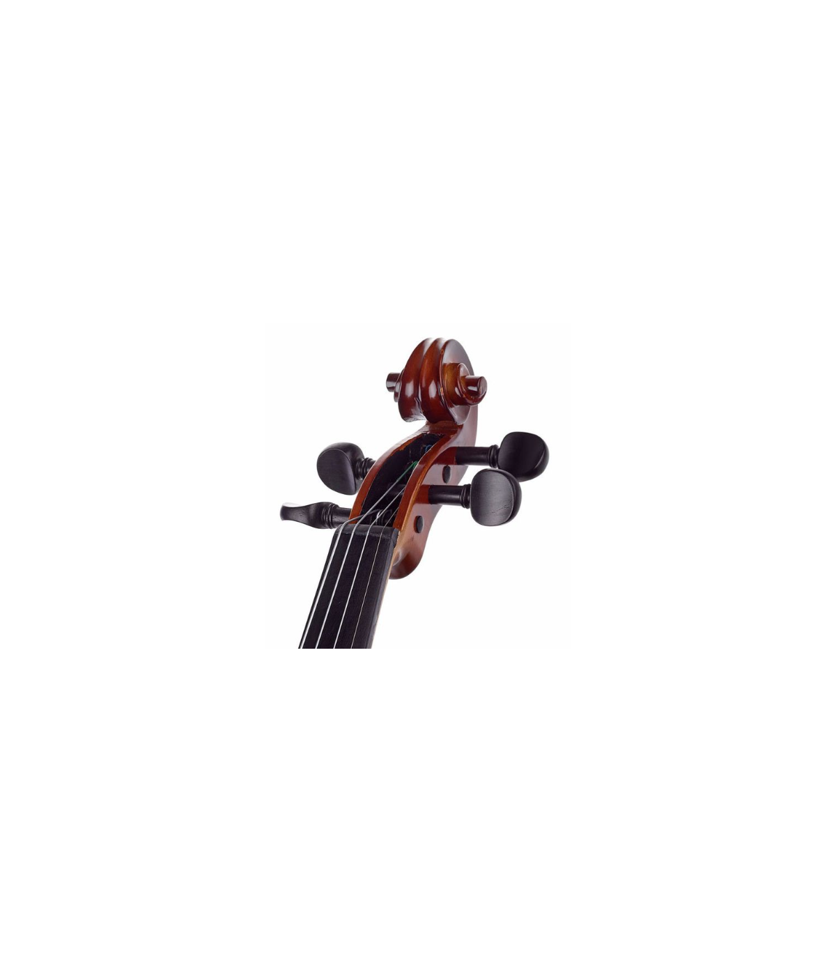 Stentor SR1542 Violin Graduate 4/4 [9]