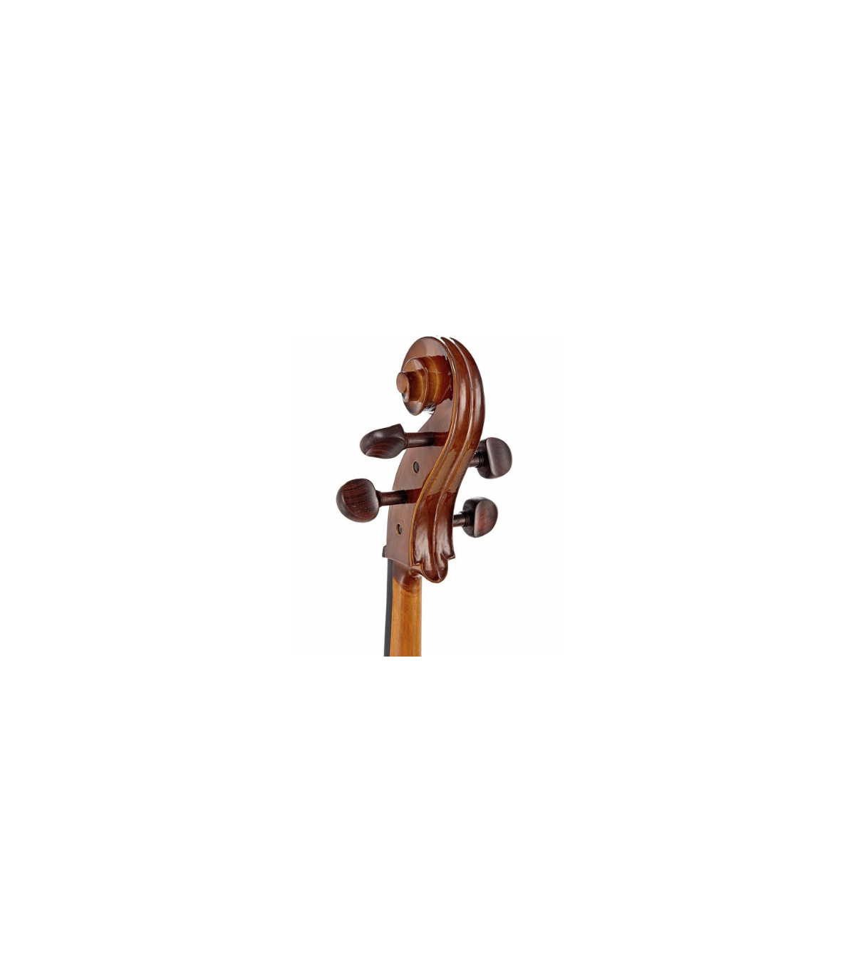 Stentor SR1102 Cello Student I 3/4 [5]