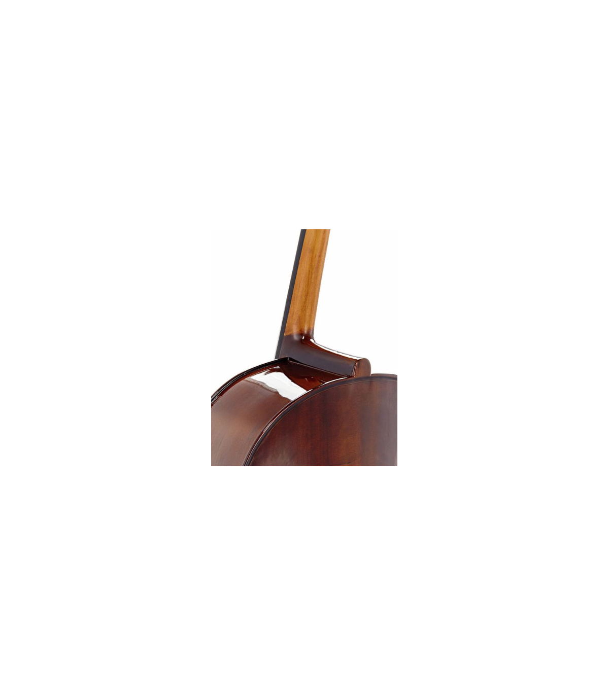 Stentor SR1102 Cello Student I 3/4 [6]