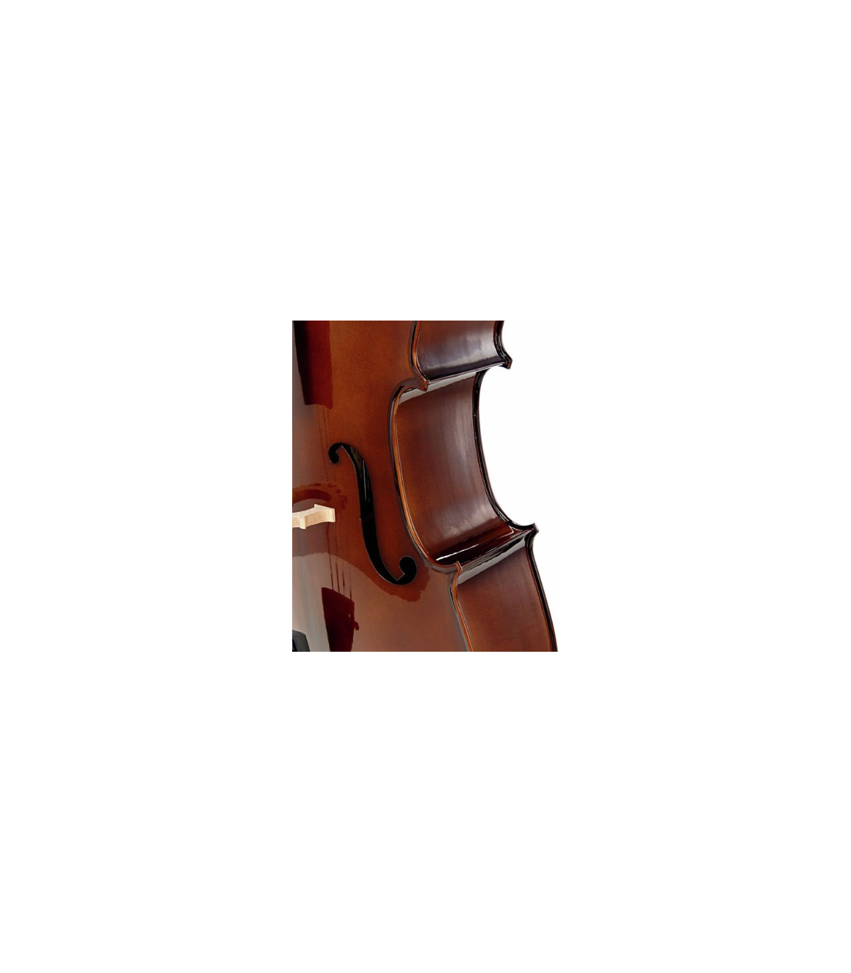 Stentor SR1102 Cello Student I 3/4 [7]