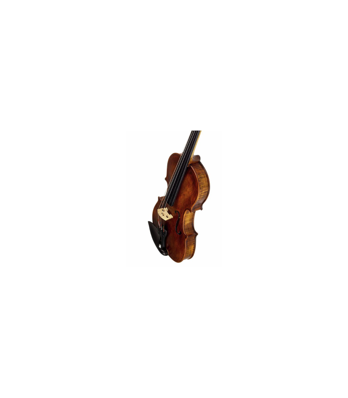 Stentor SR1864 Verona Violin 4/4 [4]