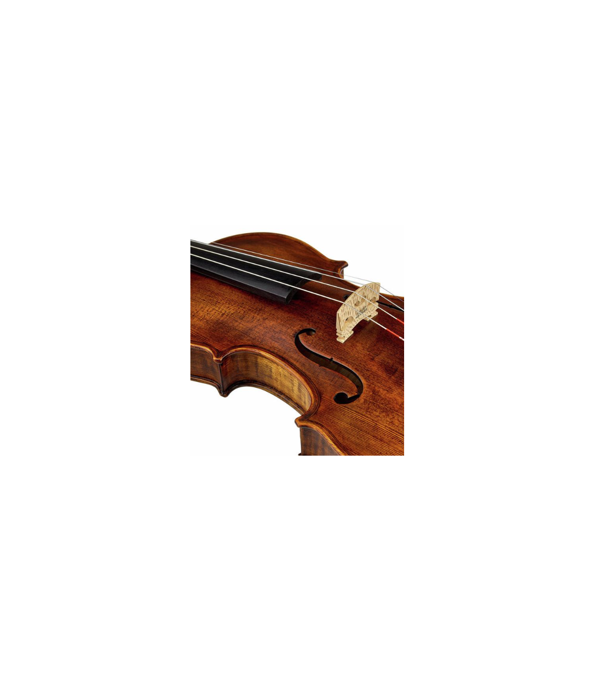 Stentor SR1864 Verona Violin 4/4 [7]