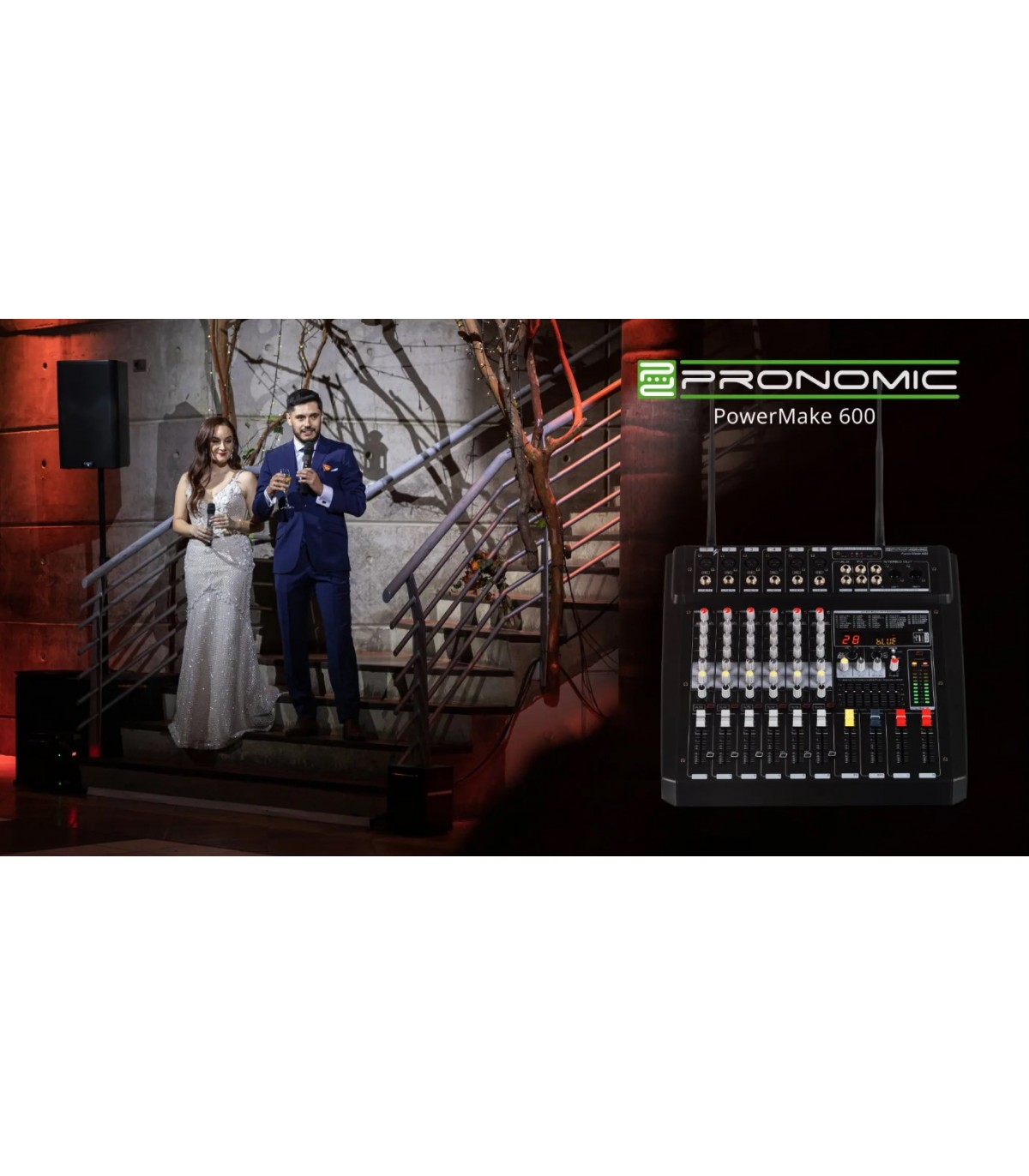 Pronomic Powermake 600 with Wireless Microphones [2]