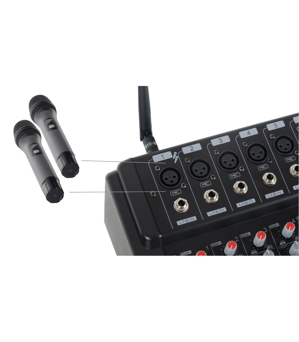 Pronomic Powermake 600 with Wireless Microphones [5]