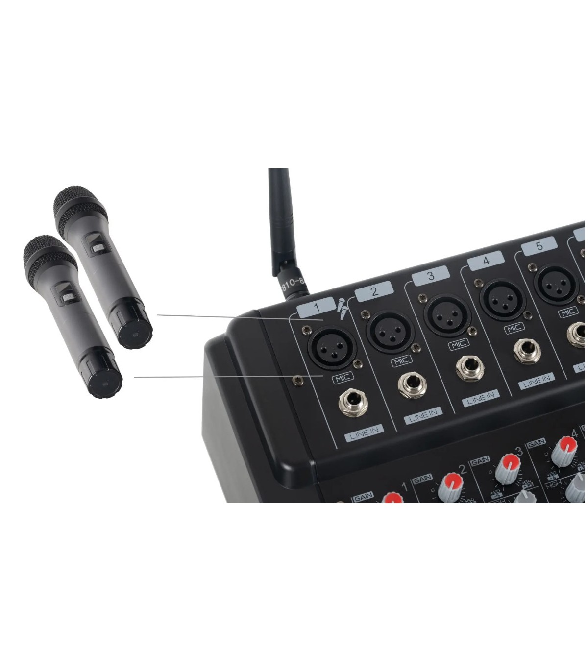 Pronomic Powermake 800 with Wireless Microphones [5]