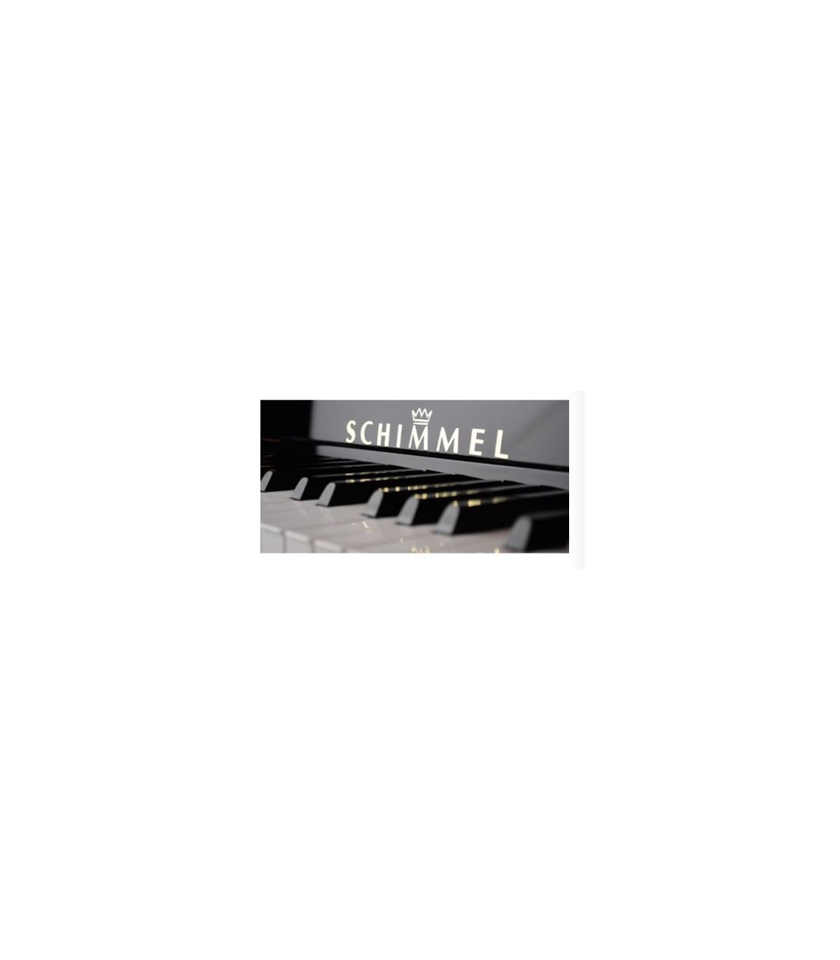 Schimmel F116 Tradition Bk [2]