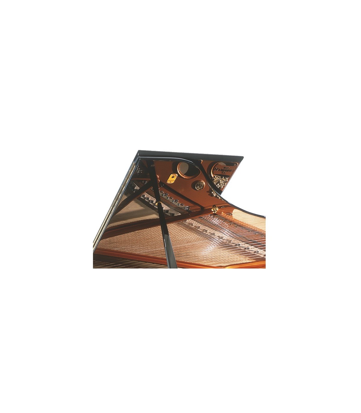 Schimmel K-256 Tradition [4]