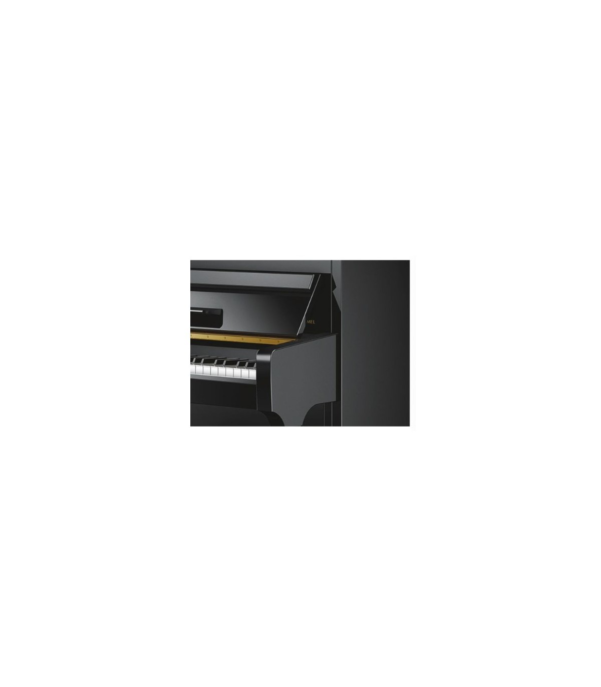 Schimmel W118 Tradition Bk [3]