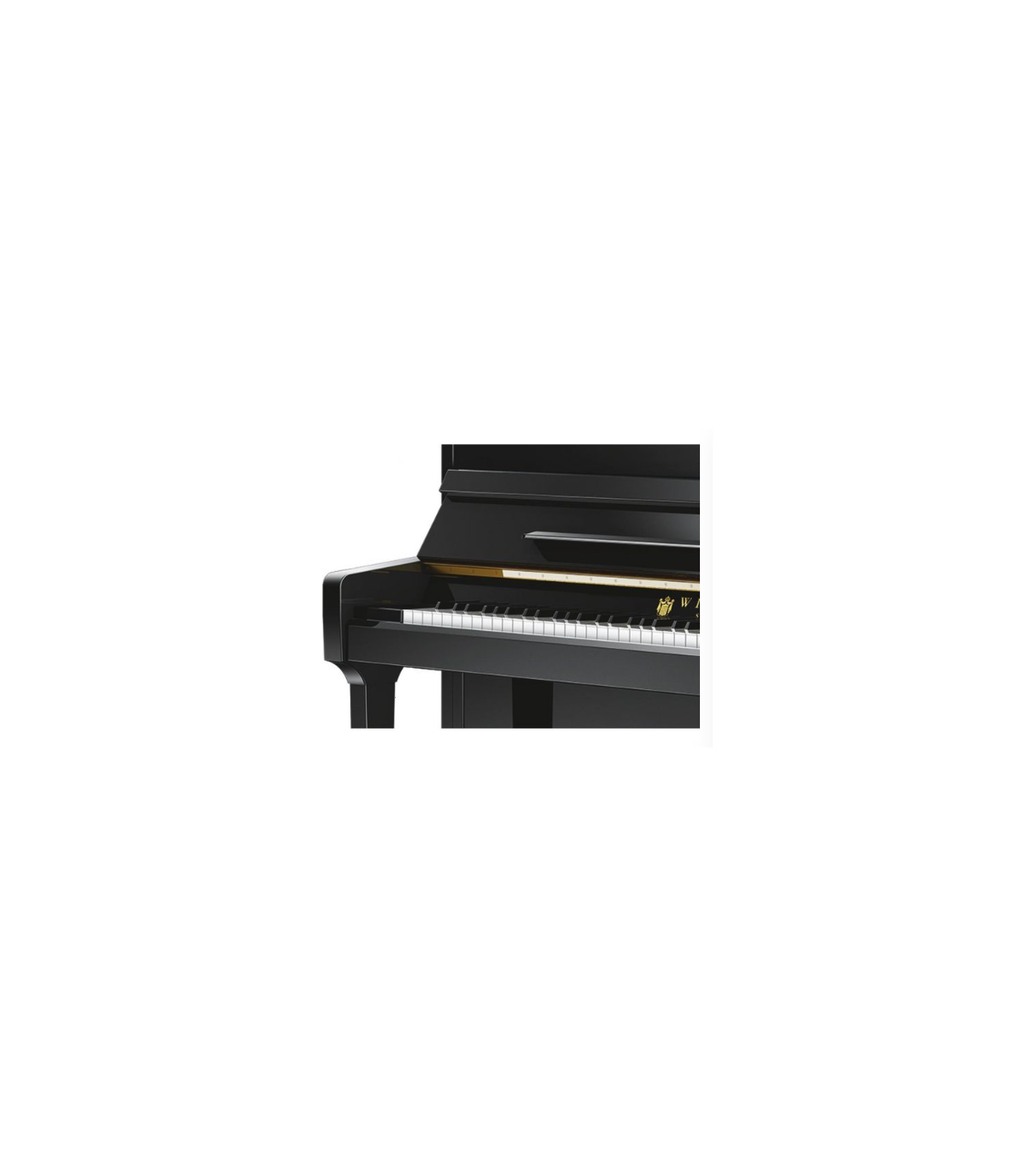 Schimmel W123 Tradition Bk [2]
