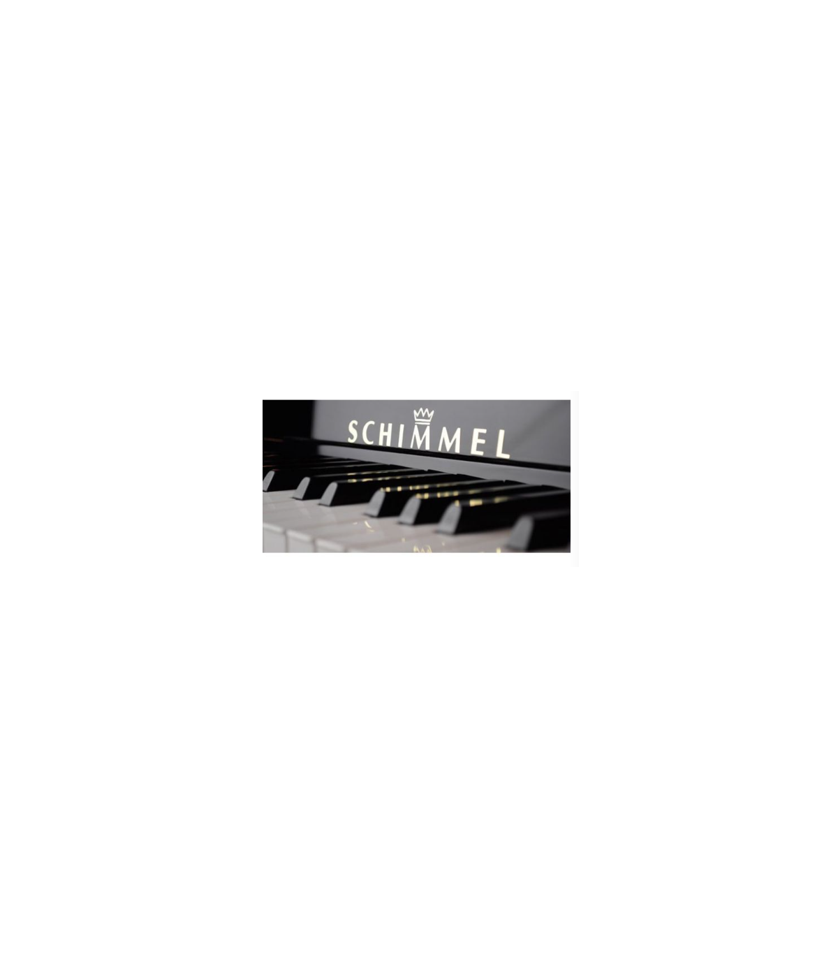 Schimmel W180 Tradition Bk [3]