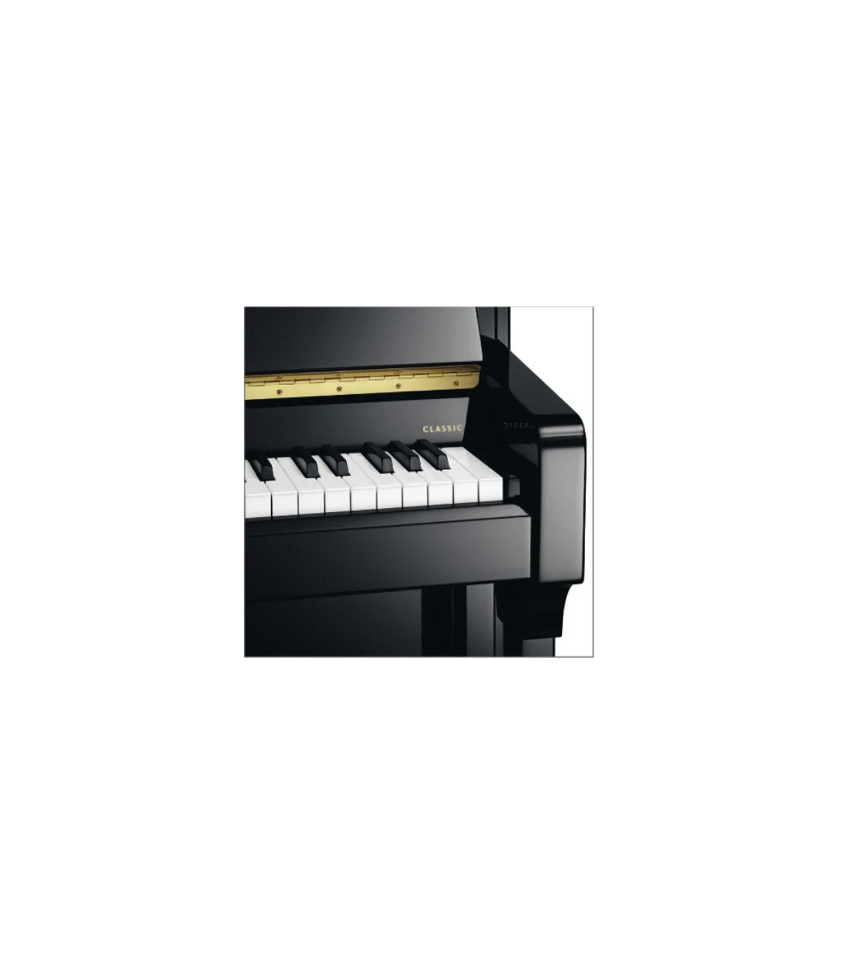 Schimmel C116 Tradition Bk [2]