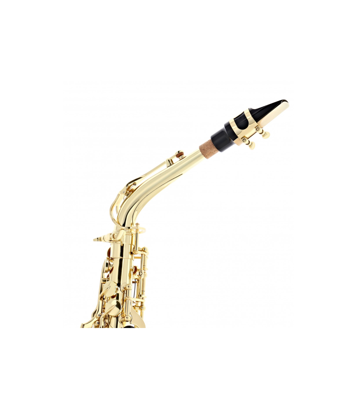 Buffet Crampon Prodige BC8301-1-0GB [2]
