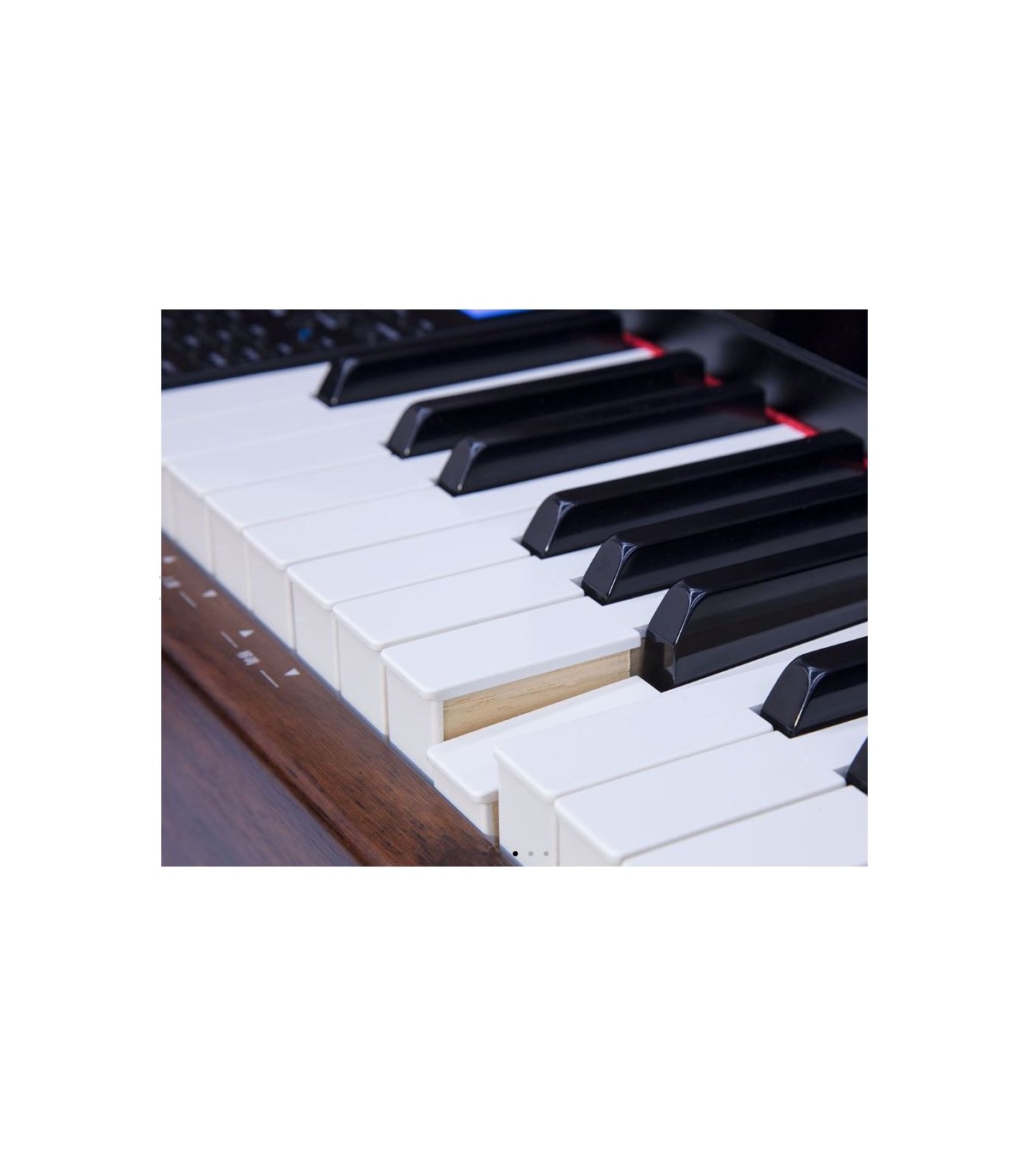 Pearl River F53 RW [3]