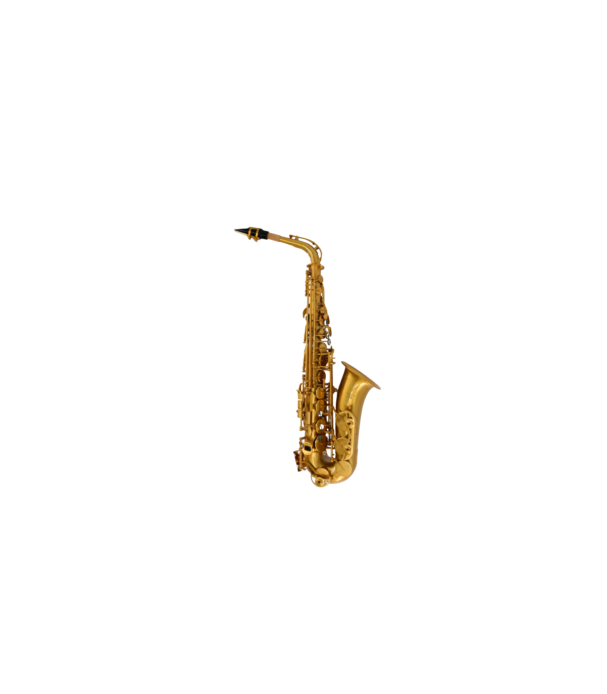 Magazin - Parrot TL52 Brushed Matte Saxofon Alto