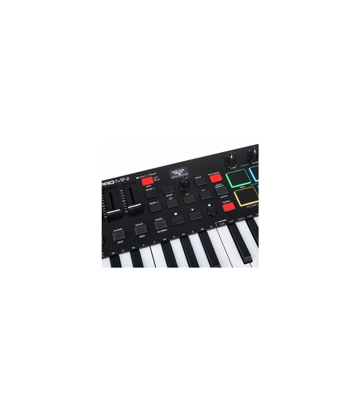 M-Audio Oxygen Pro Mini [9]