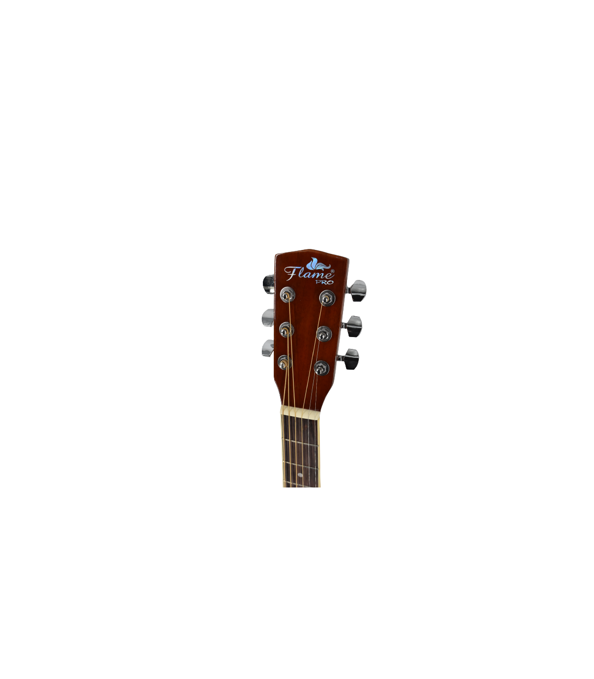 Flame Pro D120CE VS [2]