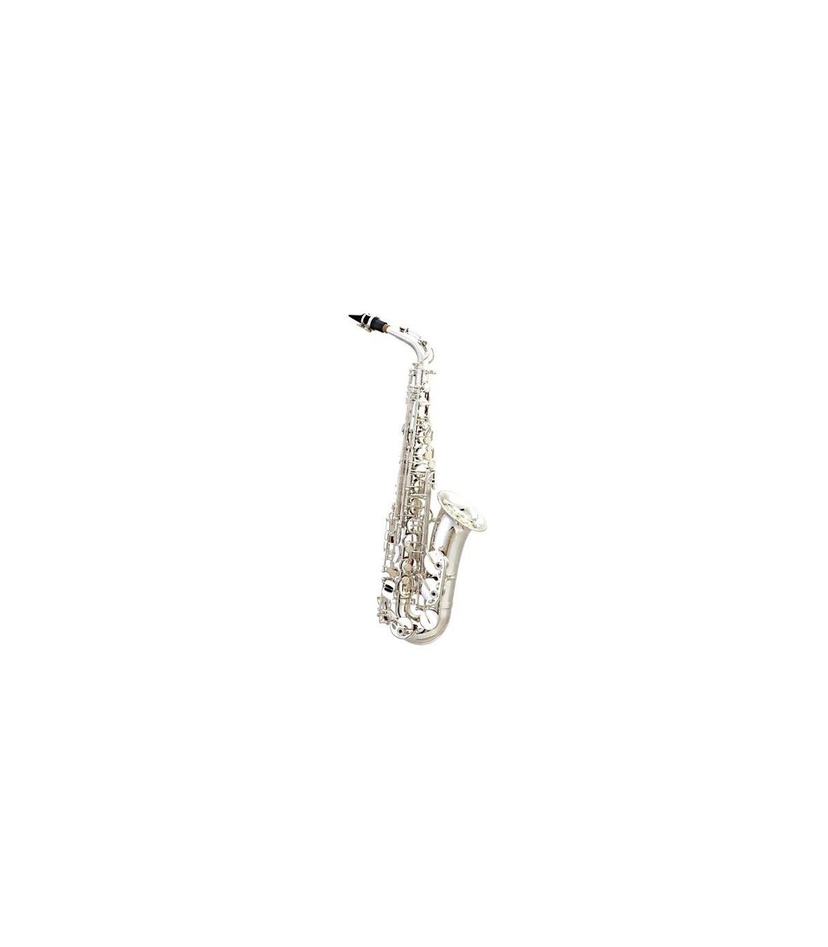 Saxofoane Alto - Parrot 6430 S