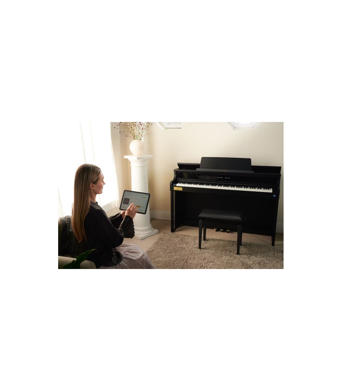 Casio AP-750 BK Celviano [5]