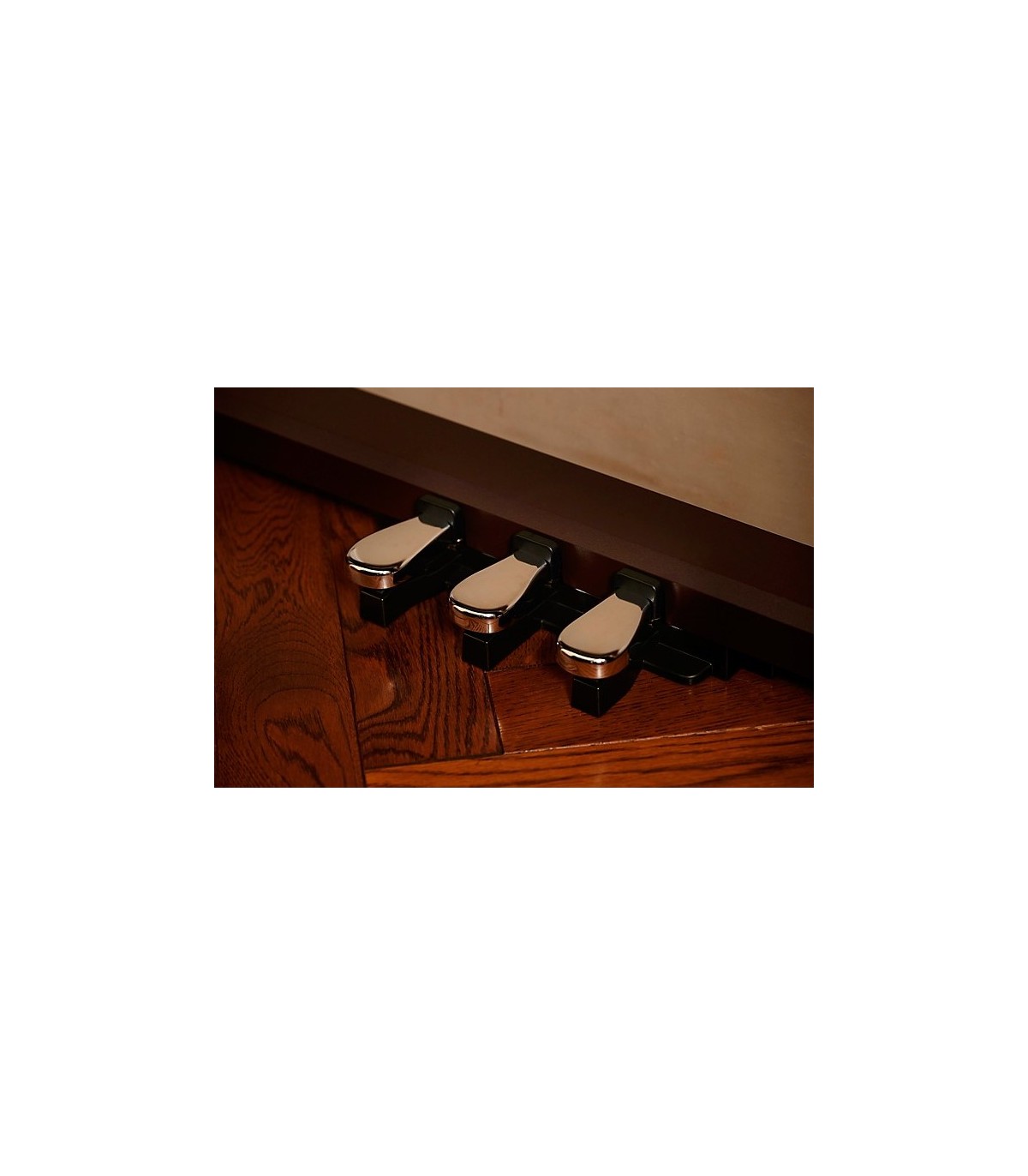 Casio AP-S450 BN Celviano [5]