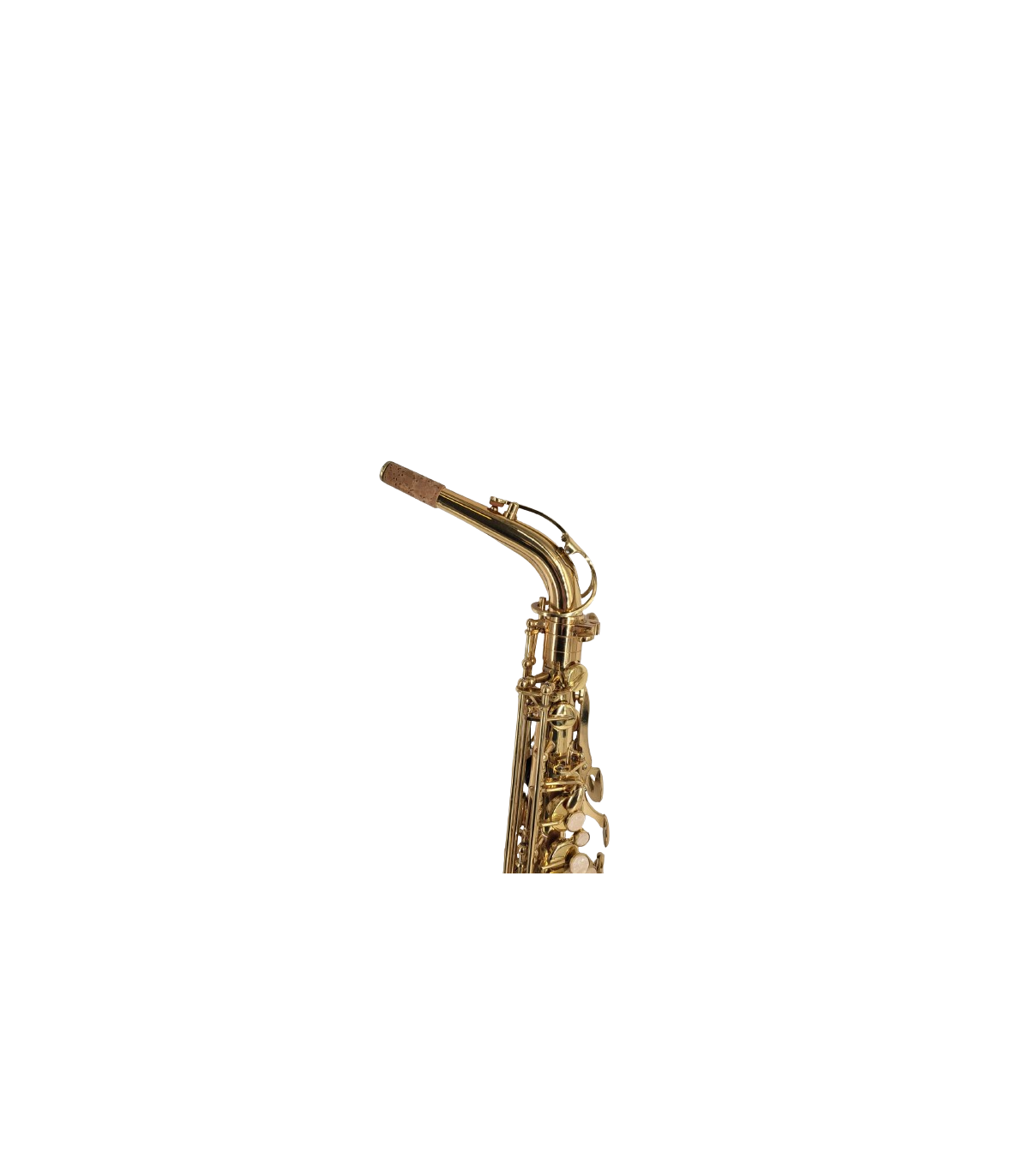 Parrot ZL118 Alto Sax Laquer [3]