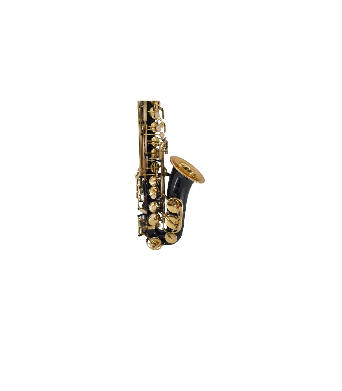 Parrot ZL 200 Alto Sax [2]