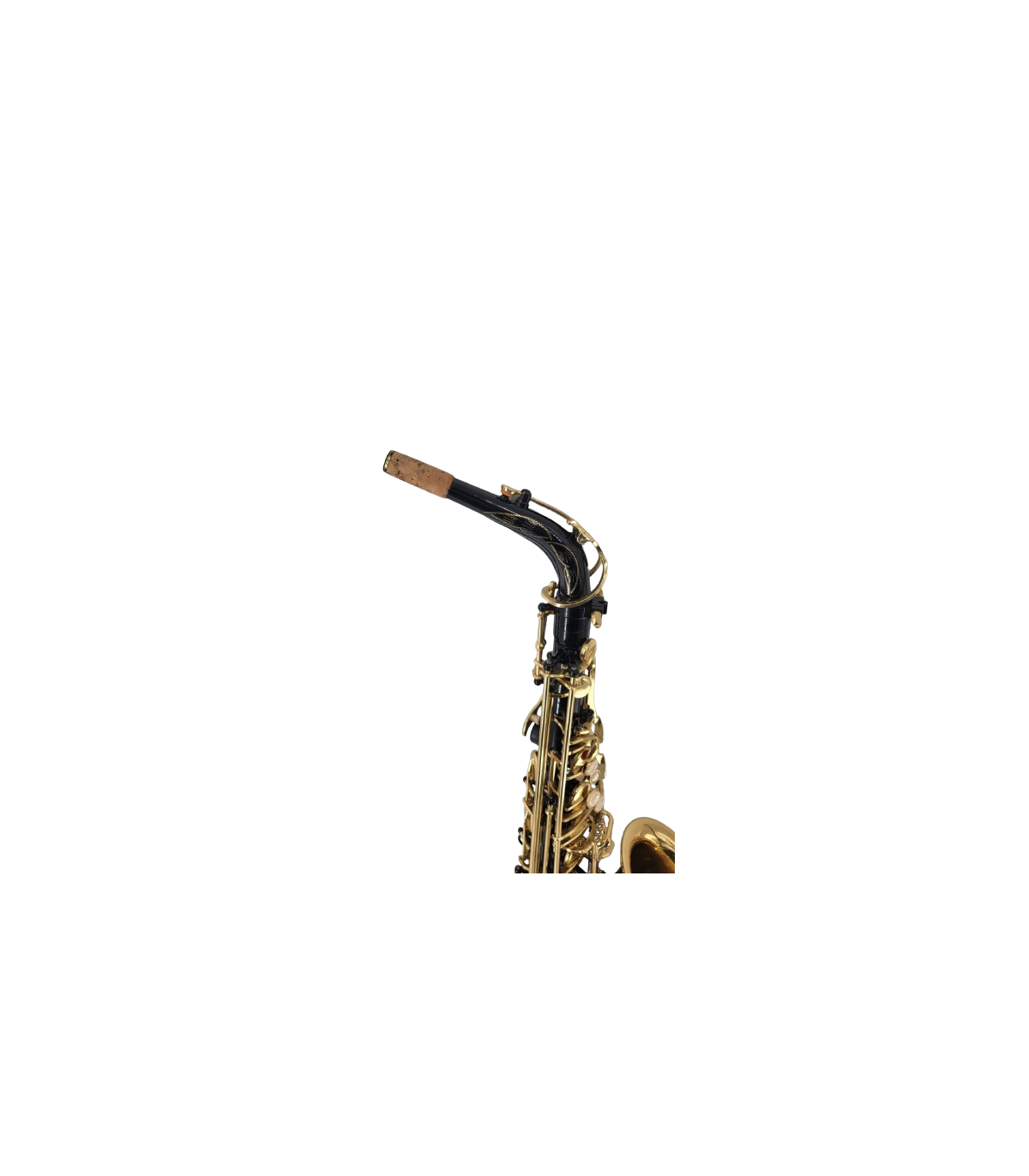Parrot ZL 200 Alto Sax [3]