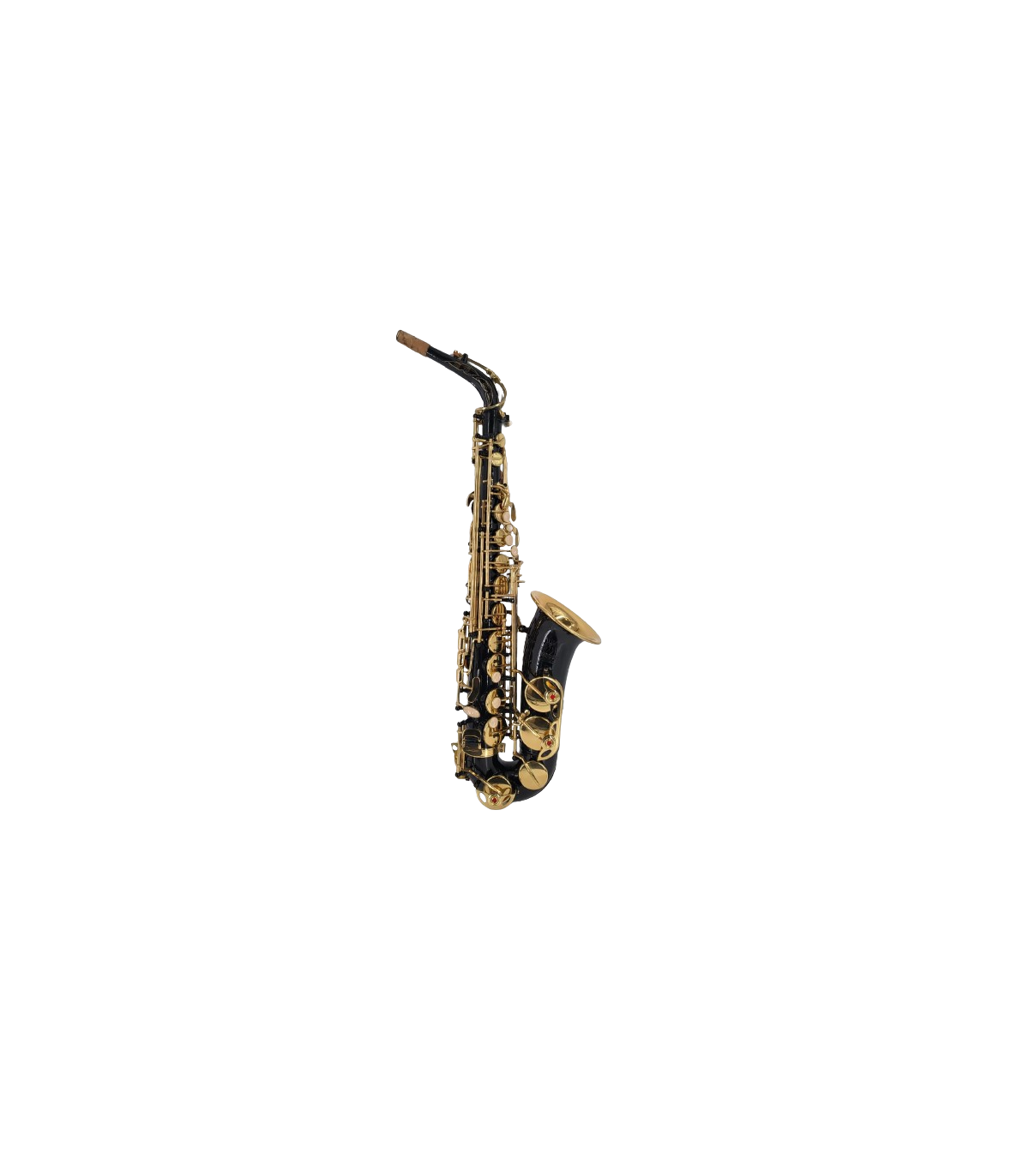 Parrot ZL 200 Alto Sax [1]