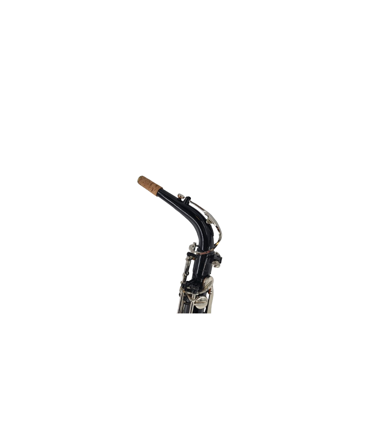 Parrot ZL 119 Sax Alto [3]