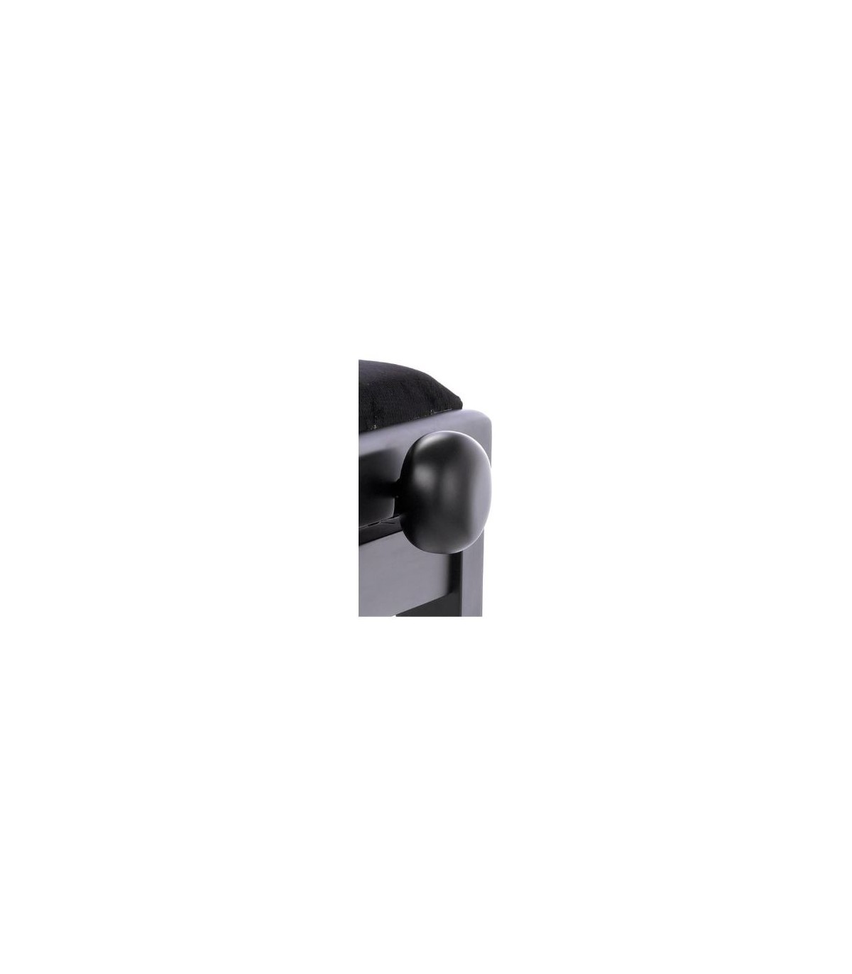 Casio AP-750 BK Celviano Set [8]
