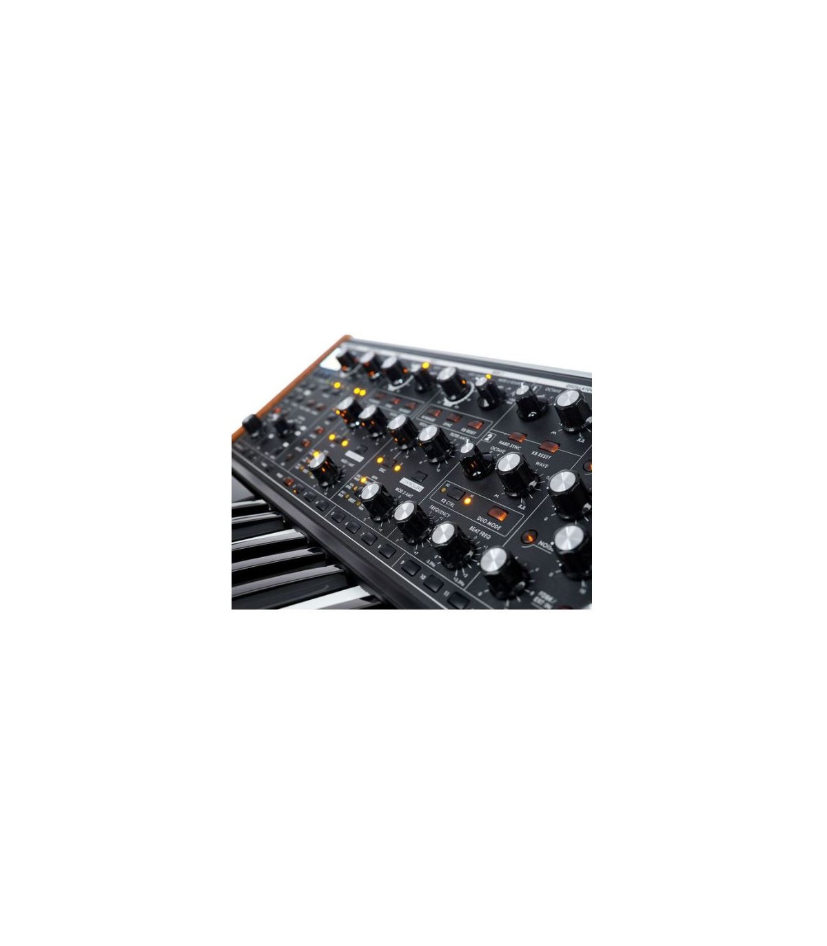 Moog Subsequent 37 [9]