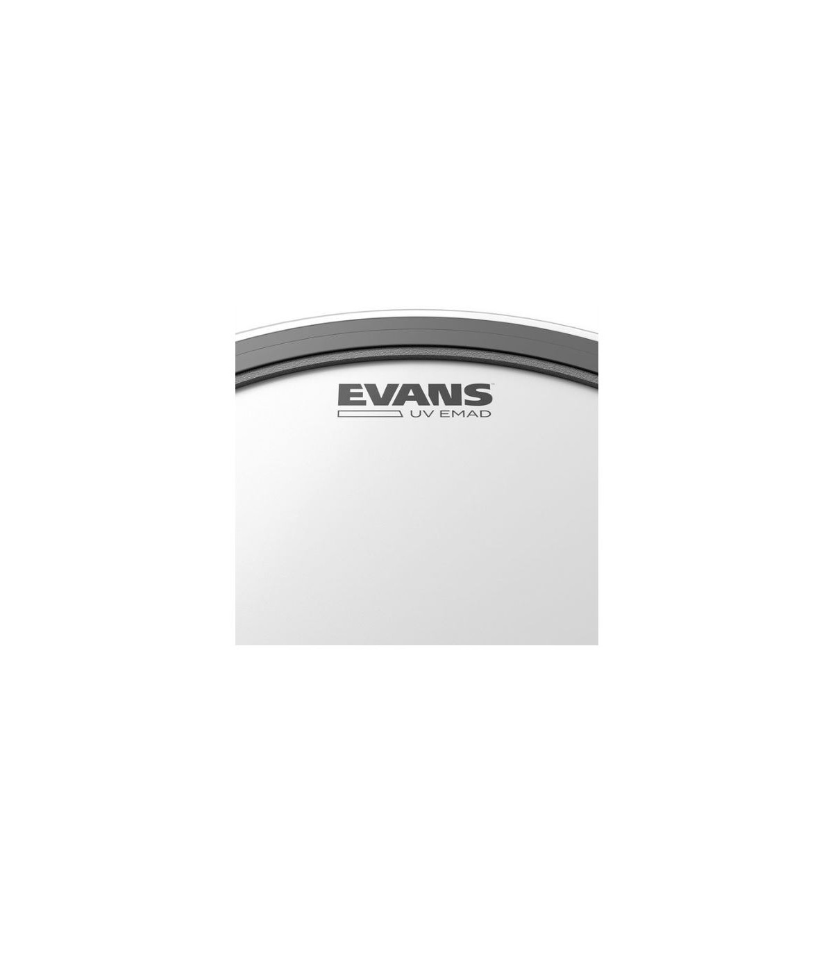Evans 22" EMAD UV Coated Bass [2]