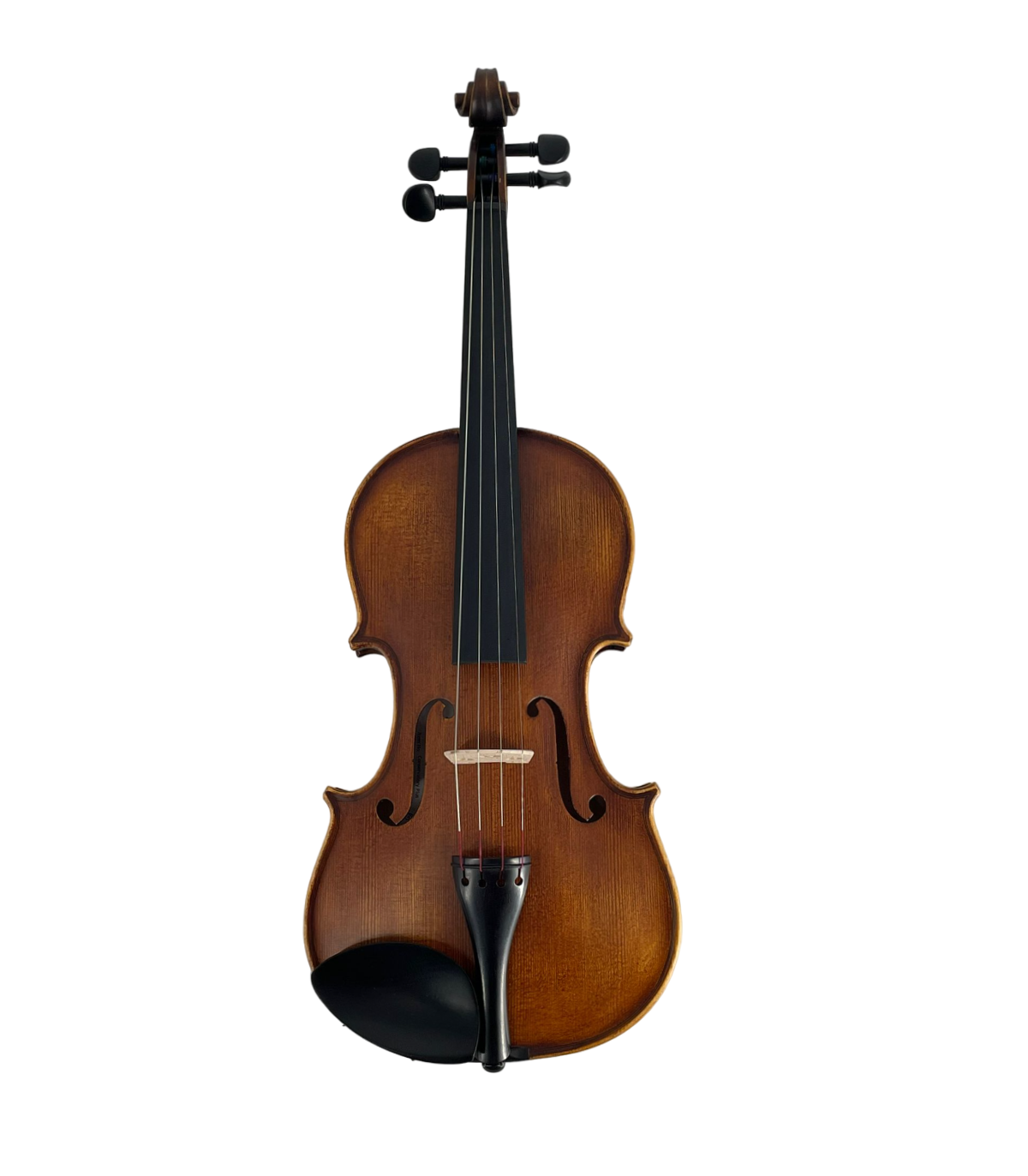 Karl Hoffmeister MV101-1 Conservatory Plus Vioara 4/4 [1]