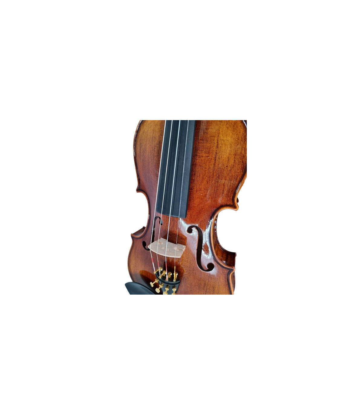 Karl Hoffmeister MV400-1 Solist Plus Vioara 4/4 [5]