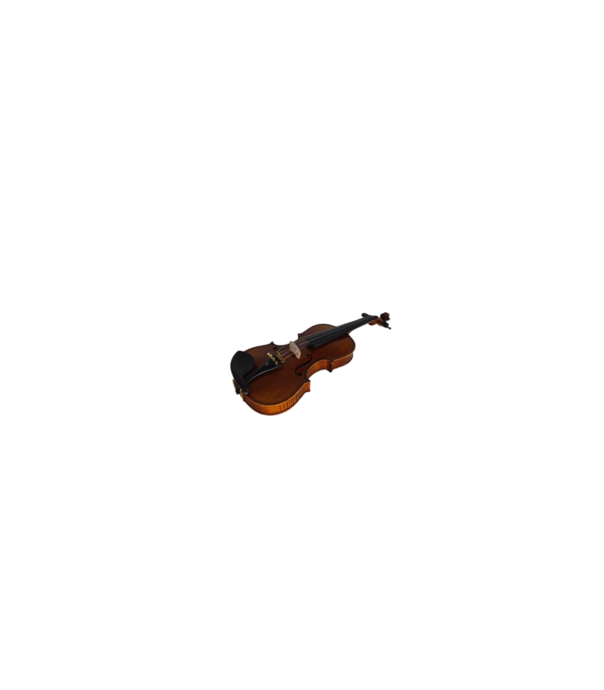 Karl Hoffmeister MV400-1 Solist Plus Vioara 4/4 [3]